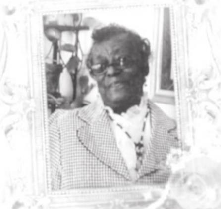 Robins Article Image Alt Text