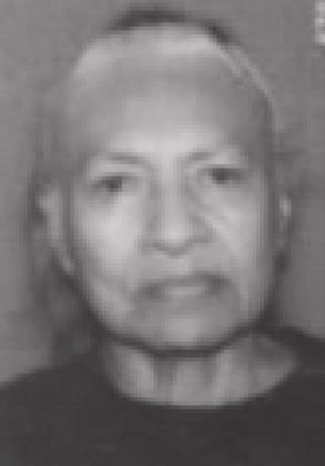 Webster Article Image Alt Text