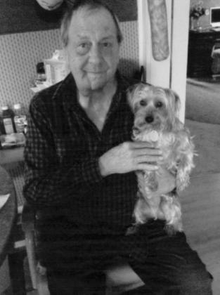 Article Image Alt Text