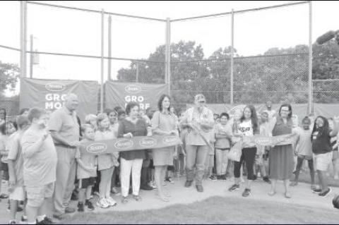 Article Image Alt Text