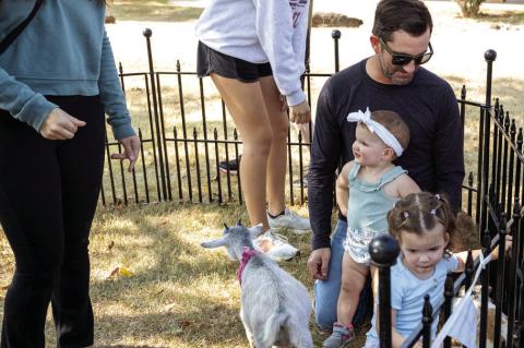 Donkeys, Baby Goats And More Invade College Campus