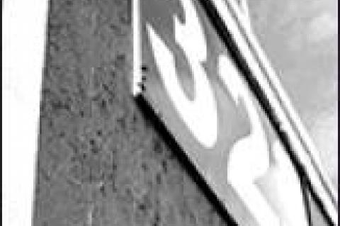 Article Image Alt Text