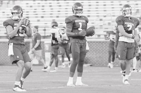 Article Image Alt Text