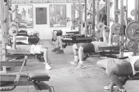 Article Image Alt Text