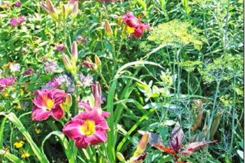 Article Image Alt Text