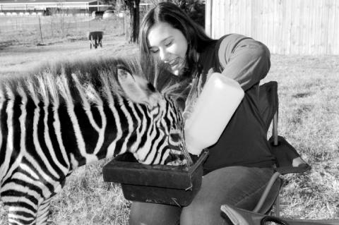 Article Image Alt Text