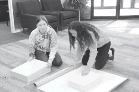 Article Image Alt Text