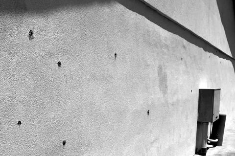 Suspect Arrested After Allegedly Firing at Police