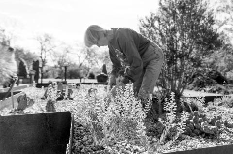 Raised beds and ergonomic tools are two things that help make gardening easier for senior gardening enthusiasts and those with physical limitations. (Photo by Mia Reinert, OSU Agriculture)