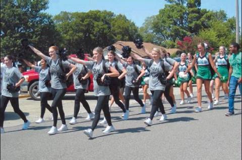 Article Image Alt Text