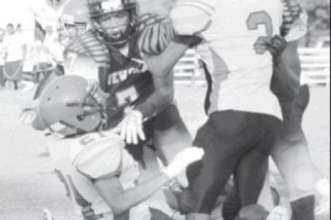 Article Image Alt Text