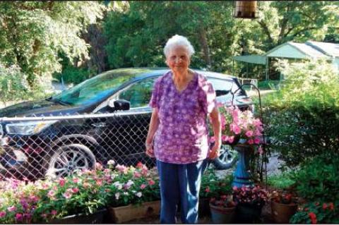 Article Image Alt Text