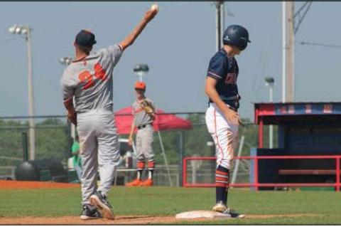 Article Image Alt Text