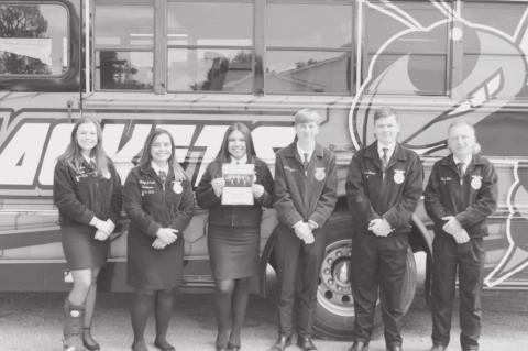 Article Image Alt Text