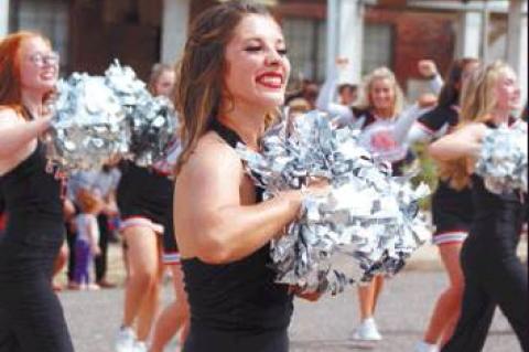 Article Image Alt Text