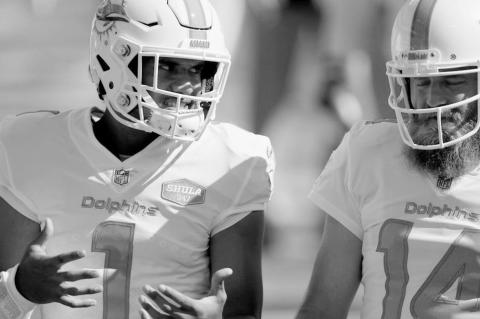 Article Image Alt Text