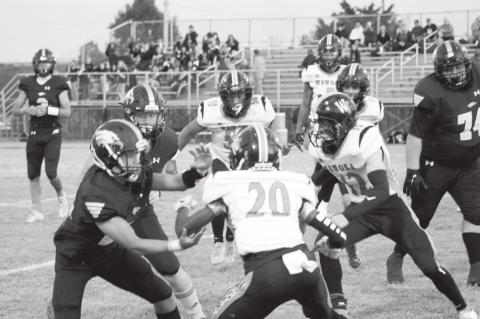 Article Image Alt Text