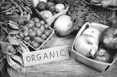 The Benefits Of Organic Agriculture