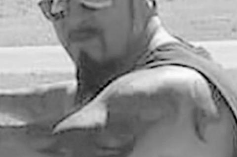 Article Image Alt Text