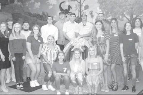 Article Image Alt Text