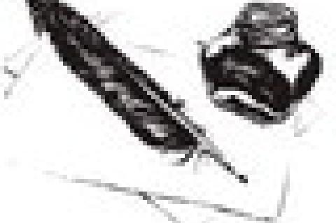 Don’t Let Your Mornings be Shot to Pieces!