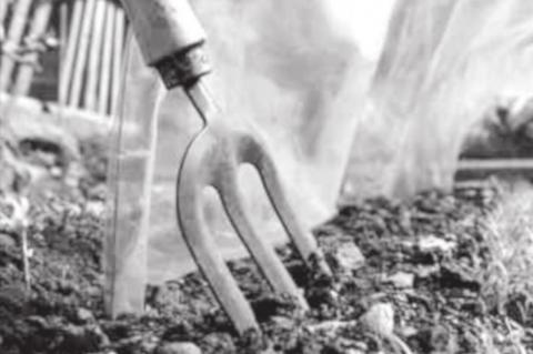 Cold Frames, Greenhouses, and Beyond: Four-Season Gardening