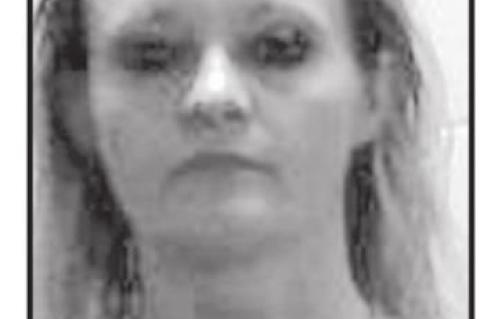 Alleged Stolen Vehicle Recovered in Chase