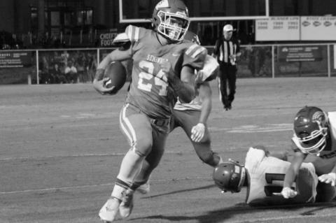 Article Image Alt Text