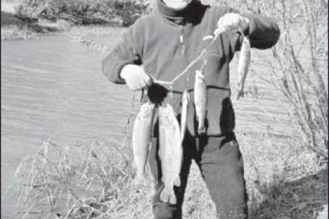 Article Image Alt Text