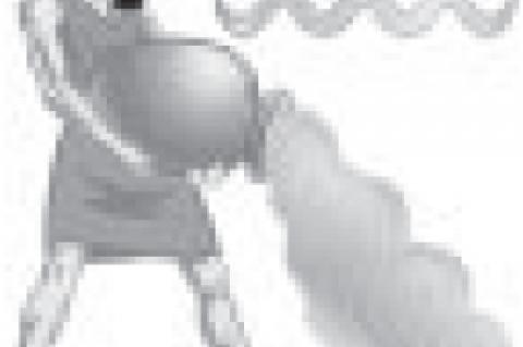 Article Image Alt Text