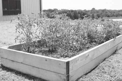 Fruits of Their Labor…