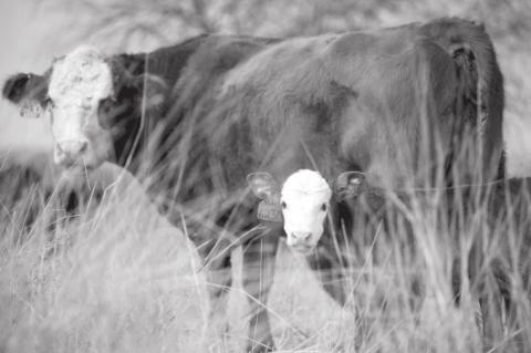 News Tidbits From Around The Globe