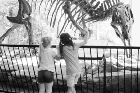 Article Image Alt Text