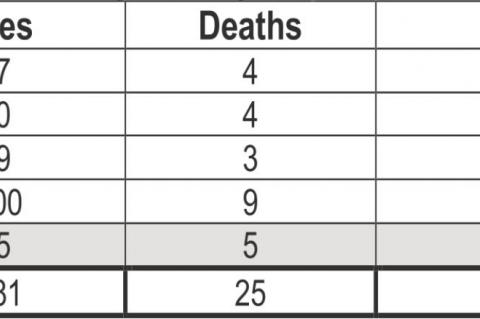 Article Image Alt Text