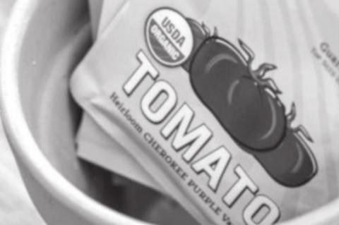 Tips to Successfully grow Tomatoes