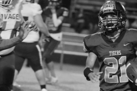 Article Image Alt Text