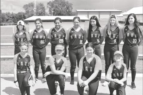 Article Image Alt Text