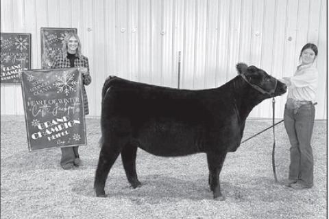 Strother Cattle Kids Shine at Heart of Winter Show