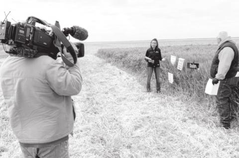 SUNUP To Feature Sneak Peek Of OSU Virtual Wheat Tour