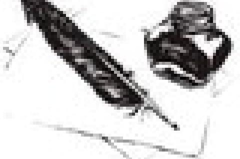 Let’s Play ‘Duck on a Rock!’