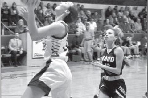 New Lima Falcons Host Maud Tigers on Senior Night