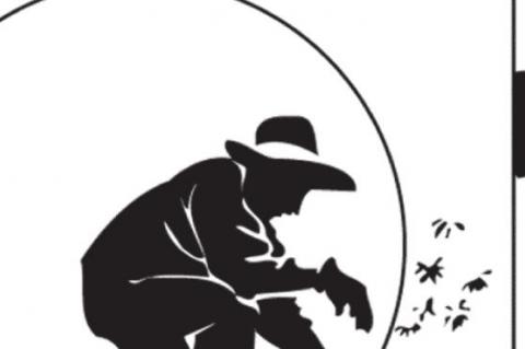 Article Image Alt Text