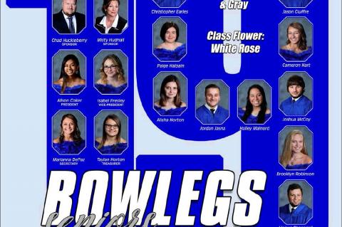 Article Image Alt Text