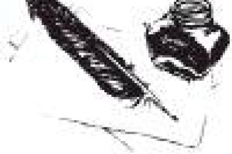 Article Image Alt Text