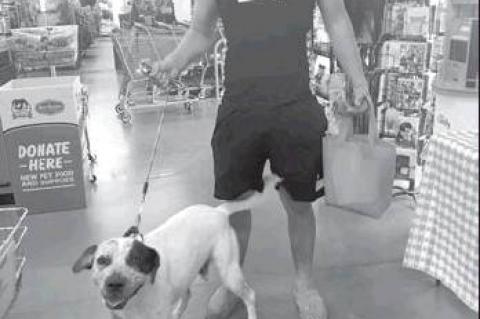 Article Image Alt Text