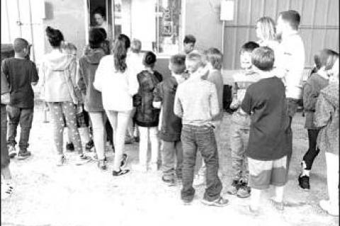 Article Image Alt Text