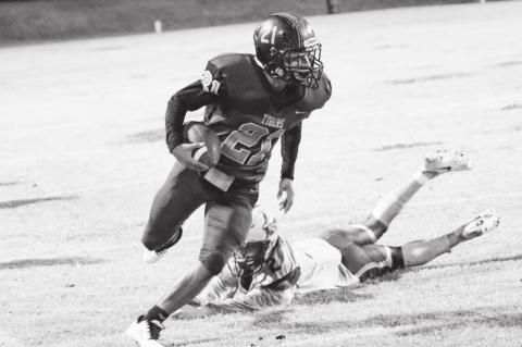 Article Image Alt Text