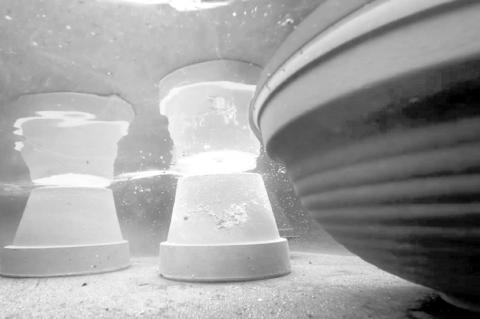 Be Sure to Sanitize Garden Pots Before Spring Planting