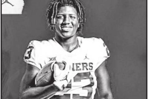 Article Image Alt Text