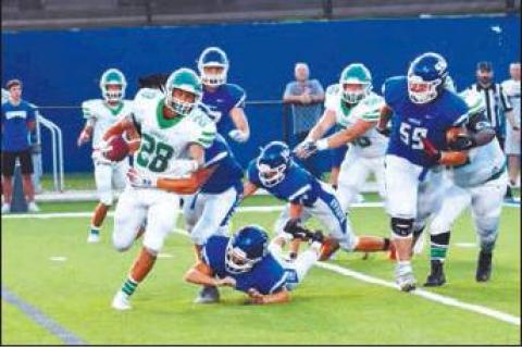 Article Image Alt Text